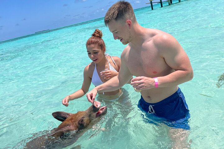 Nassau: Swimming Pigs And Snorkel With Turtles