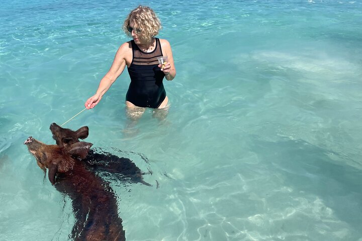 Nassau: Swimming Pigs And Snorkel With Turtles