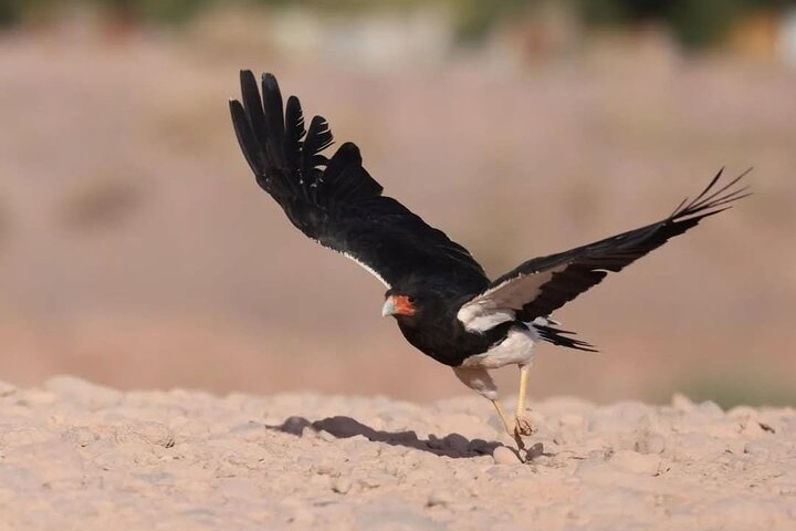 Pack 3 Days, Private Tours in 4x4, Meet the Hidden Desert.