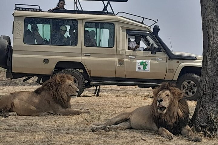 Tsavo National Park Small group Day trip