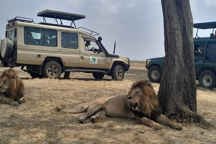 Tsavo National Park Small group Day trip