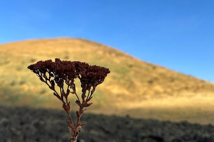 Hiking in Mount Cameroon 3 days and 2 nights