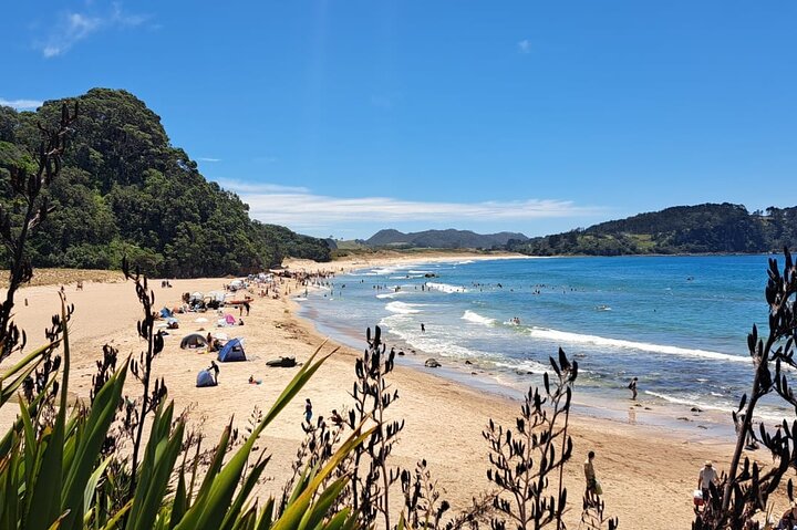 Cathedral Cove & Hot Water Beach Small-Group Tour with Lunch
