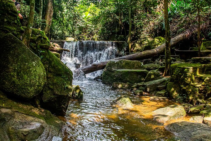 6 Hours Elephant Care and Jungle Tour by 4WD in Koh Samui