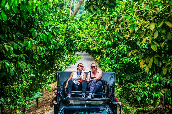 6 Hours Elephant Care and Jungle Tour by 4WD in Koh Samui