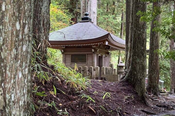 Koyasan: Must-See Okuno-in Cemetery 2-Hour Guided Tour