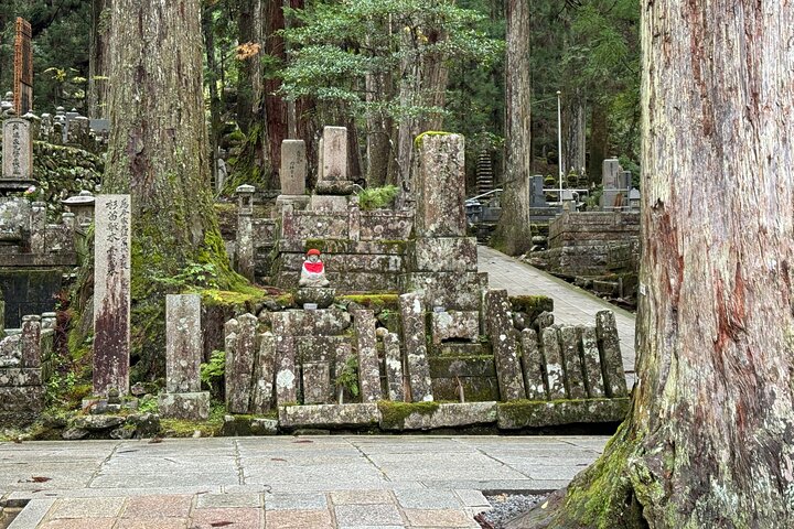 Koyasan: Must-See Okuno-in Cemetery 2-Hour Guided Tour