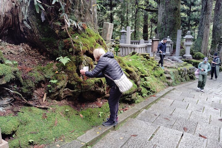 Koyasan: Must-See Okuno-in Cemetery 2-Hour Guided Tour