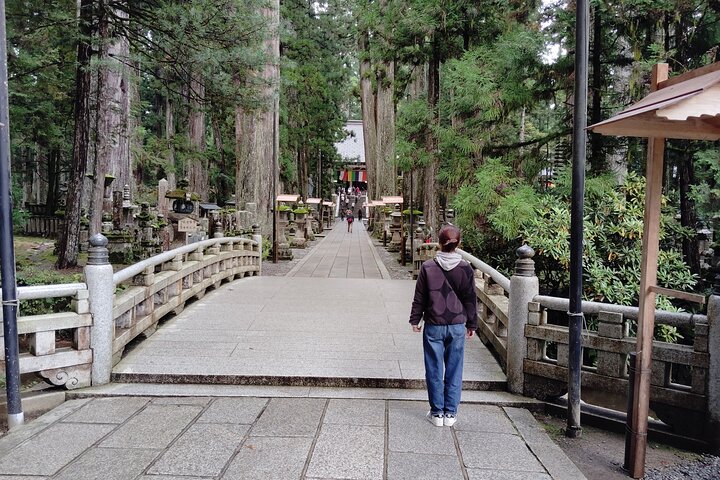 Koyasan: Half-Day Guided Tour - Okuno-in, Kongobuji & Danjo Garan