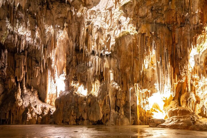 Postojna Cave, Predjama Castle and Piran with tickets included