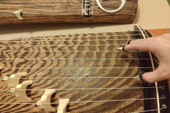Authentic Koto Experience in Odawara Castle Town (Near Tokyo)