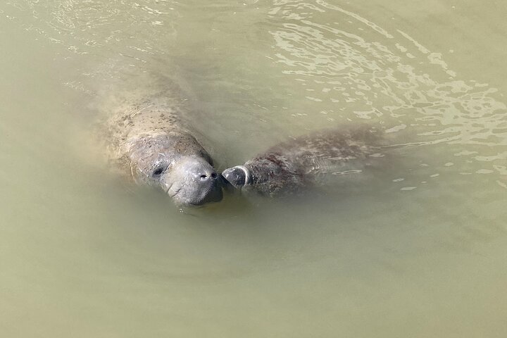 Everglades National Park: 3 Hikes + 90 minute Boat Tour + Lunch