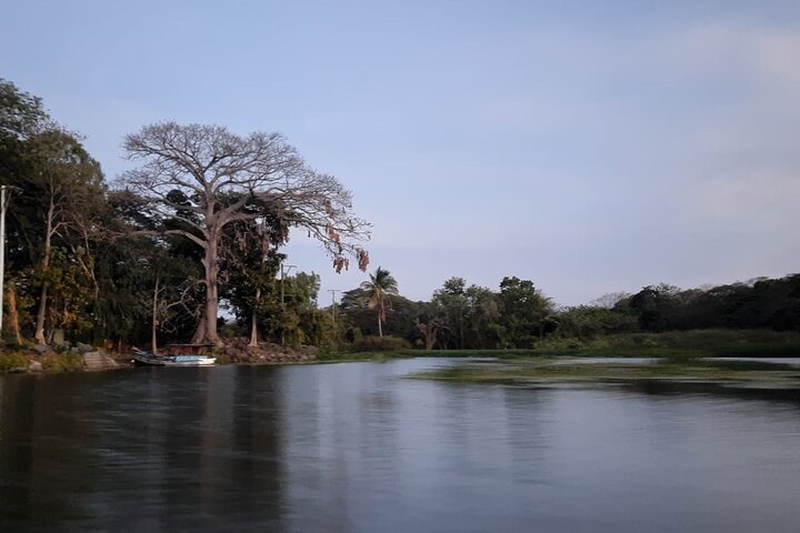 Las Isletas Boat Tour