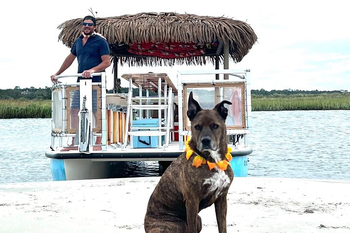 2-Hour Tiki Boat Tour in Folly Beach
