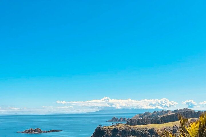 Auckland: Waiheke Island Wine Tour + Tastings & Beachfront Lunch