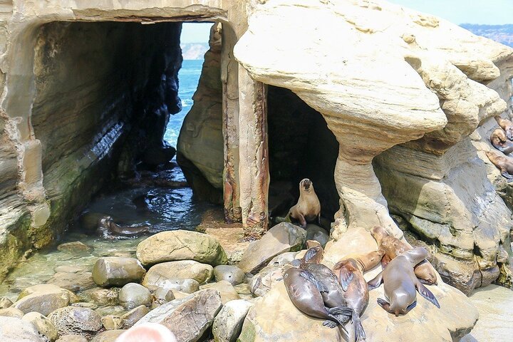 San Diego Highlights Private Tour