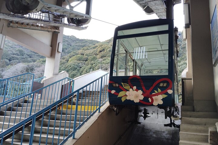 Kintai Kyo Bridge and Iwakuni Castle with Local Guide