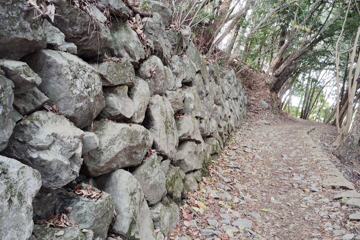 Kintai Kyo Bridge and Iwakuni Castle with Local Guide