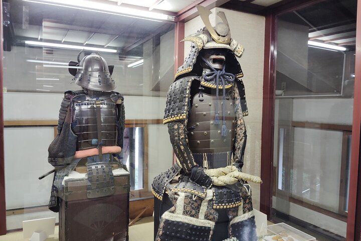 Kintai Kyo Bridge and Iwakuni Castle with Local Guide