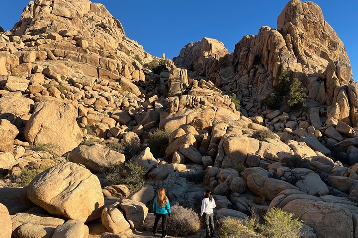 Private Sightseeing Adventure Tour of Joshua Tree National Park