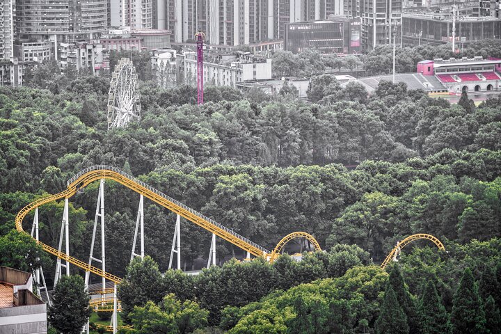 Sense-sational Wuhan (Guided Tour / Private Tour / City Tour)