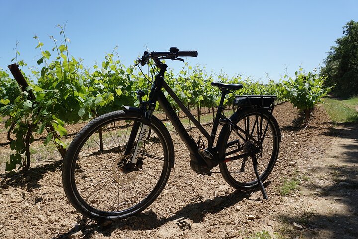 The Carrières de Lumières by e-bike
