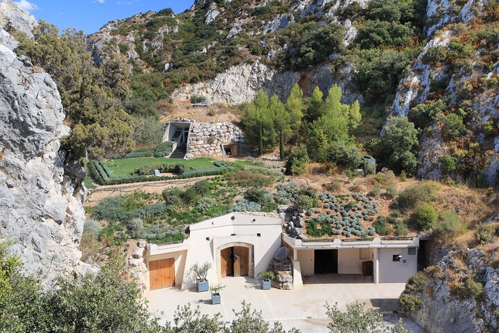 Vineyard of the Alpilles by bike