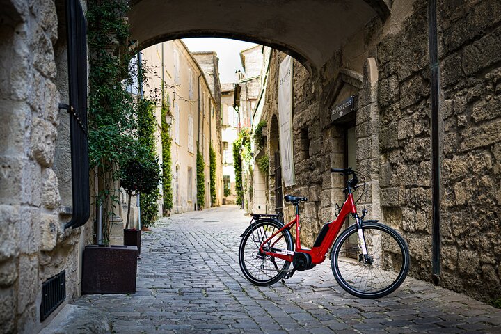 Picnic by e-bike in the middle of olive groves