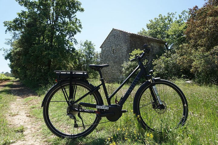 Picnic by e-bike in the middle of olive groves