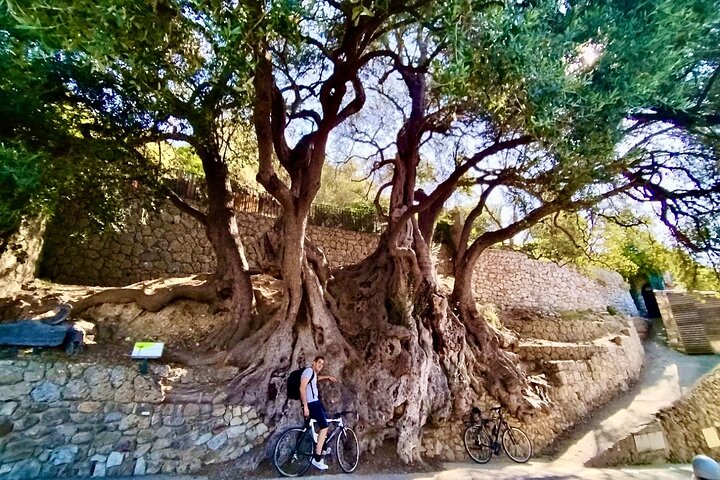 Roquebrune and Grimaldi Castle Walking Tour