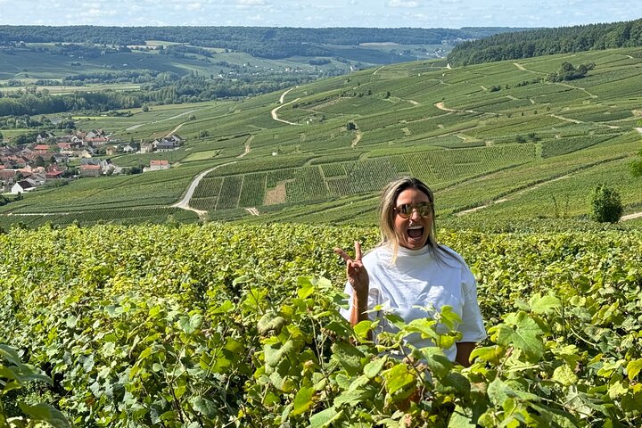 The Connoisseurs from Epernay (Private Half day Champagne Tour)