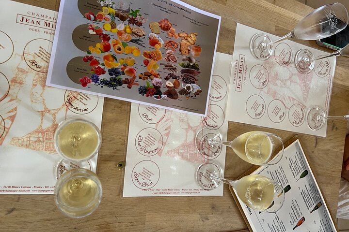 Bubble Champagne Tour from Epernay (Small group half day tour)