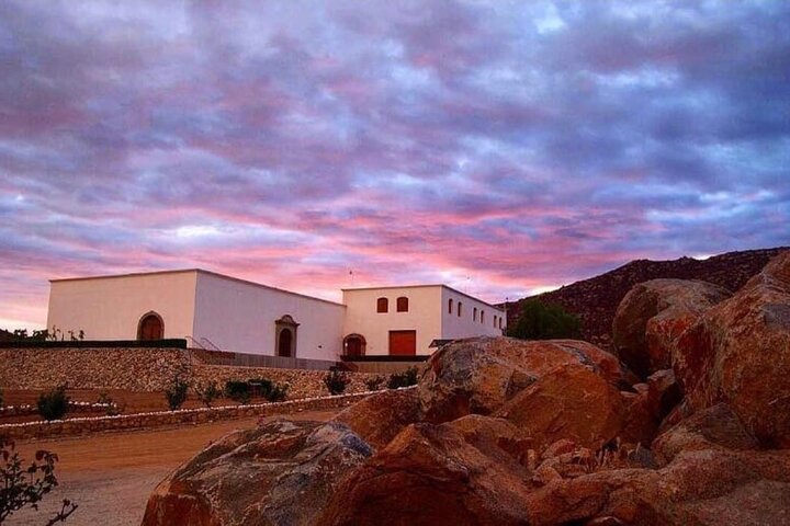 Private Valle de Guadalupe Wine Tour: All Wine Tastings Included