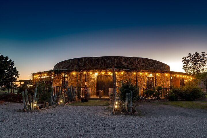 Private Valle de Guadalupe Wine Tour: All Wine Tastings Included
