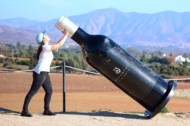 Private Valle de Guadalupe Wine Tour: All Wine Tastings Included