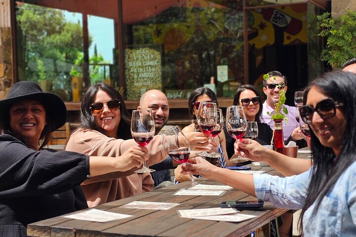 Private Valle de Guadalupe Wine Tour: All Wine Tastings Included