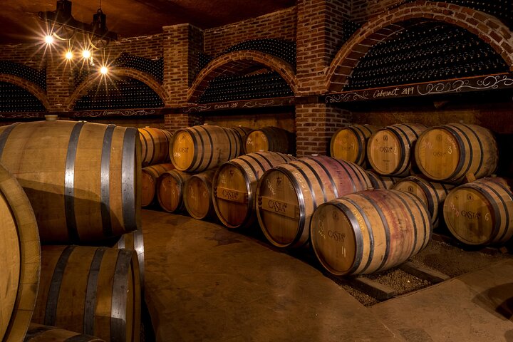 Private Valle de Guadalupe Wine Tour: All Wine Tastings Included