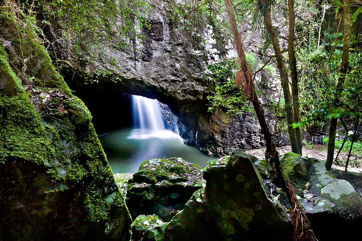 Gold Coast Day Tour From Brisbane