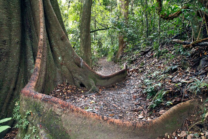 Gold Coast Day Tour From Brisbane