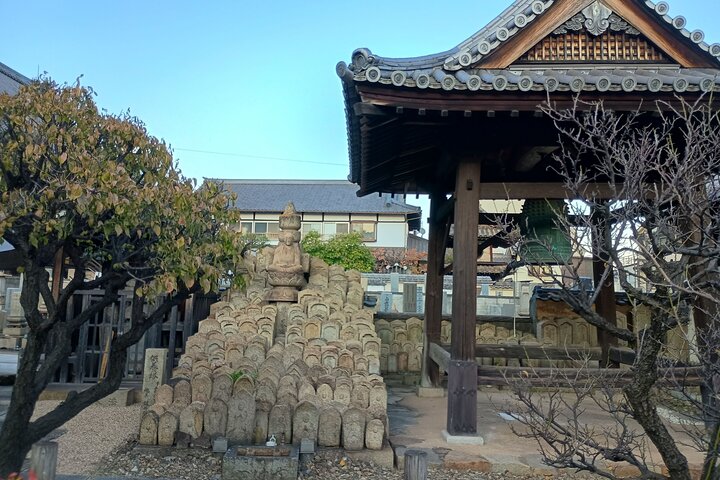 Tomonoura Hidden Gem Private Tour: Historic Seaside Japan