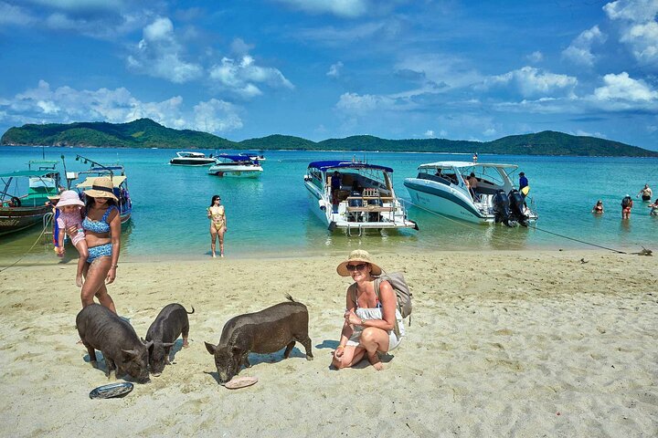 Pig Island Tour by Speedboat with Snorkeling
