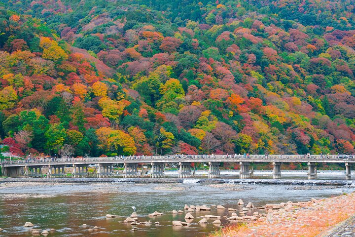 Osaka/Kyoto: Arashiyama, Fushimi Inari & Nara Park Day Trip