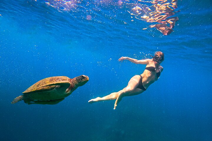 No Rush Morning & Afternoon 5 Stop Snorkeling tour for Koh Tao