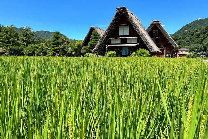 Private Tour Kanazawa, Shirakawago, Hida Furukawa,Takayama