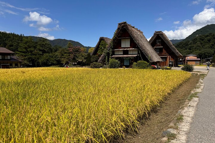 Private Tour Kanazawa, Shirakawago, Hida Furukawa,Takayama
