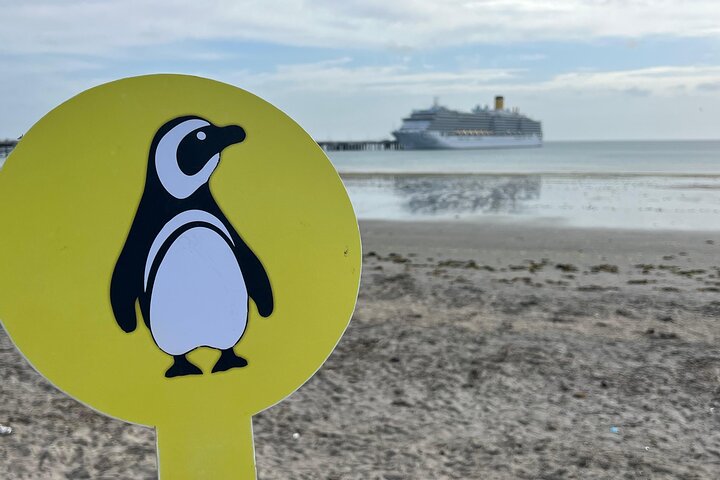 Private Tour for Punta Tombo Cruise Ships
