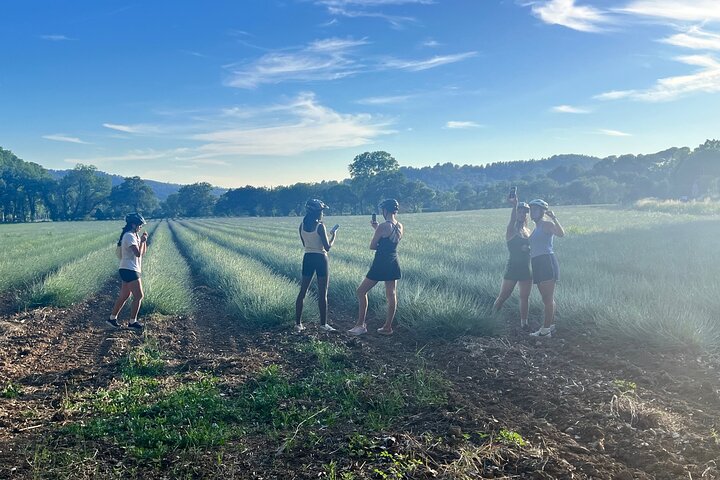 Riding eMTBs, let yourself be guided through Cezanne's landscapes