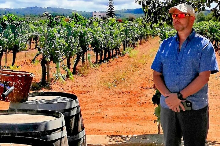 Private Ibiza Winetasting Tour