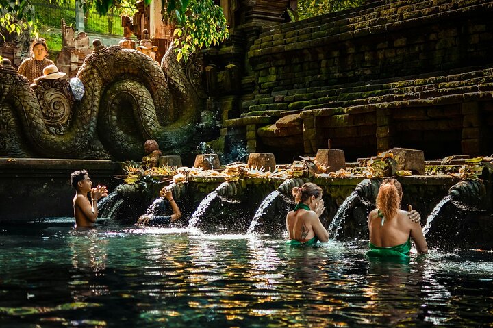 Ubud Private Tour - Waterfalls, Water Temple & Rice Terraces