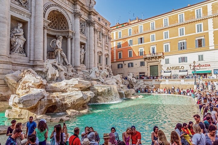 Private Shore Excursion Civitavecchia: Best of Rome and Vatican